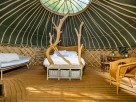 Waterside Yurt for Two set in Private Woodland in Dorset, England